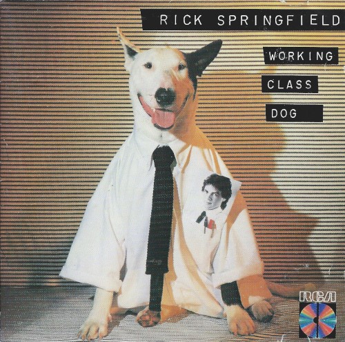 Album Poster | Rick Springfield | Jessie's Girl