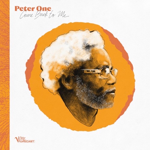Album Poster | Peter One | Birds Go Die Out of Sight (Don't Go Home)