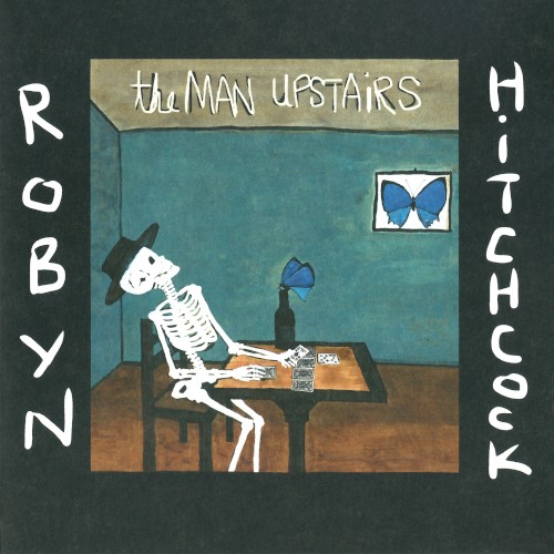 robyn hitchcock the ghost in you