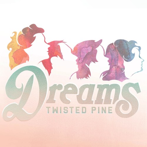 Album Poster | Twisted Pine | I Don't Feel Like Dancin'