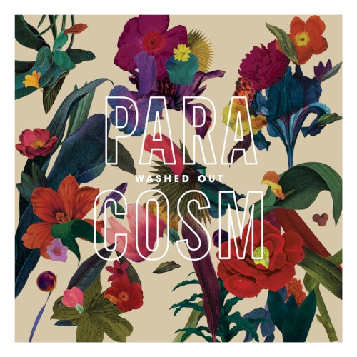 Album Poster | Washed Out | Don't Give Up