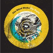 Album Poster | The Blind Shake | Diamond Days