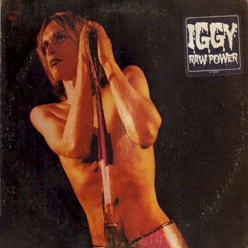 Album Poster | The Stooges | Search and Destroy