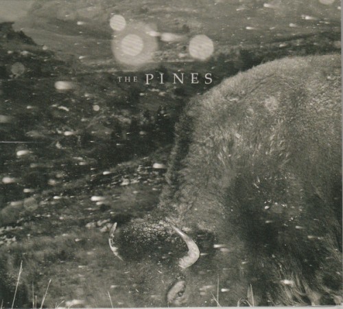 Album Poster | The Pines | Wild Bill Jones