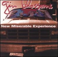 Album Poster | Gin Blossoms | Found Out About You