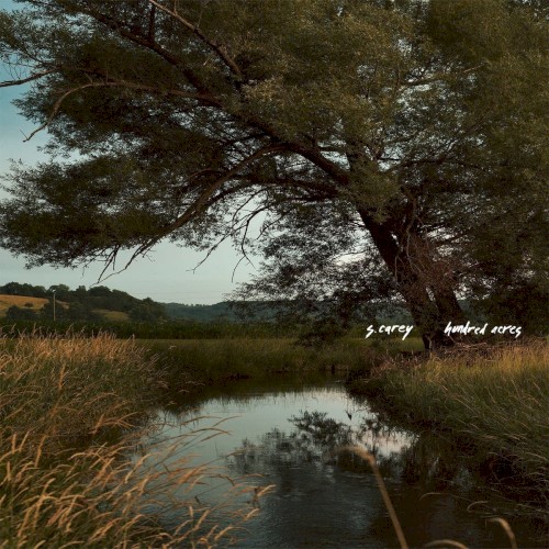 Album Poster | S. Carey | Fool's Gold