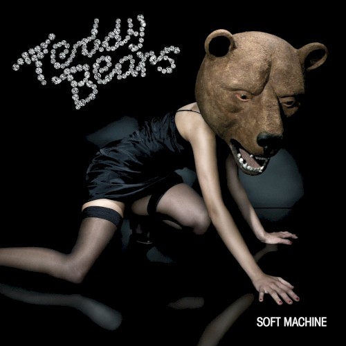 Album Poster | Teddybears | Punkrocker