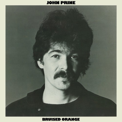 Album Poster | John Prine | Bruised Orange (Chain of Sorrow)