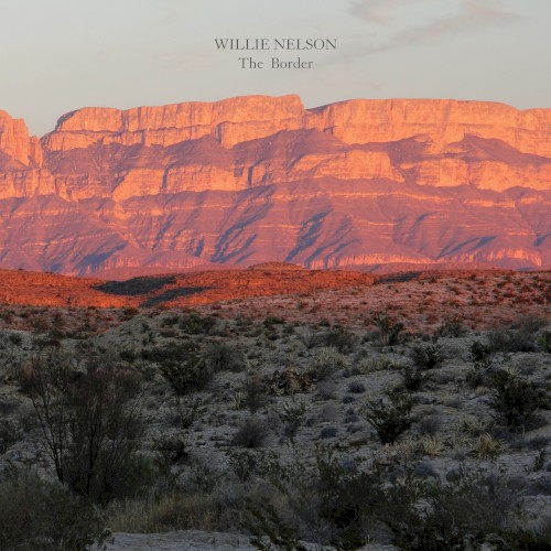 Album Poster | Willie Nelson | Many A Long And Lonesome Highway