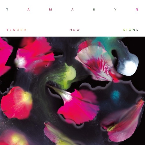 Album Poster | Tamaryn | Heavenly Bodies