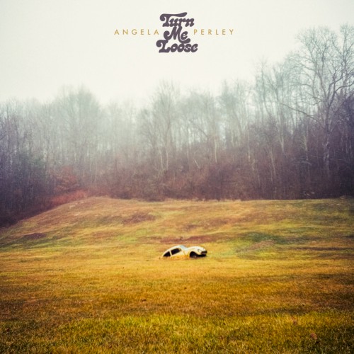 Album Poster | Angela Perley | Plug Me In