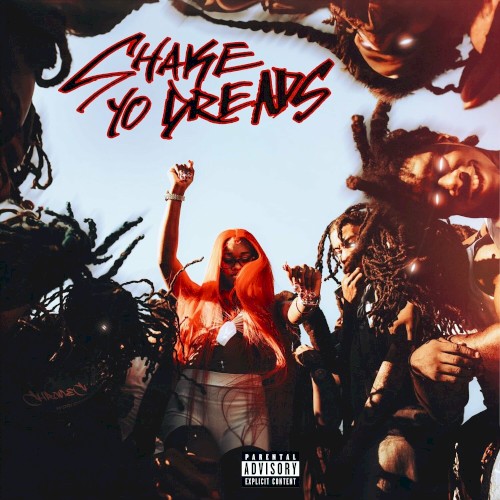 Album Poster | Sexxy Red | Shake Yo Dreads