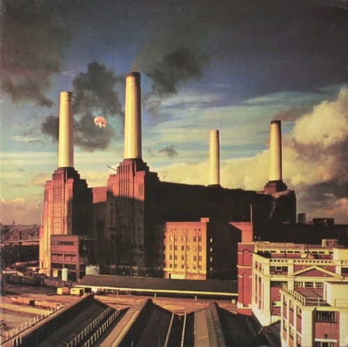 Album Poster | Pink Floyd | Sheep