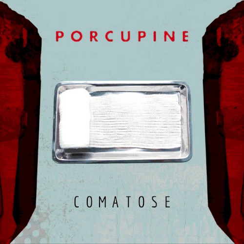 Album Poster | Porcupine | Comatose