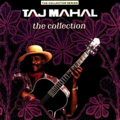 Album Poster | Taj Mahal | Texas Woman Blues