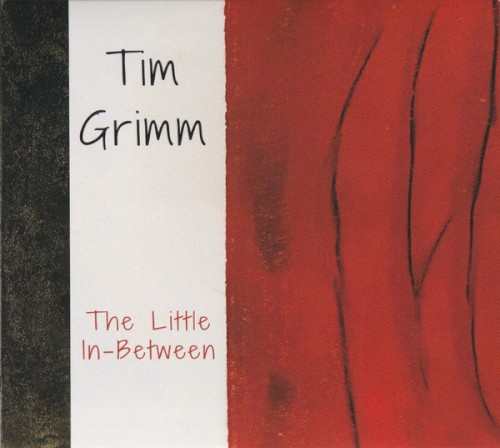 Album Poster | Tim Grimm | The Leaving