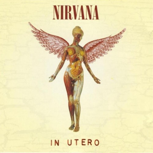 Album Poster | Nirvana | Pennyroyal Tea