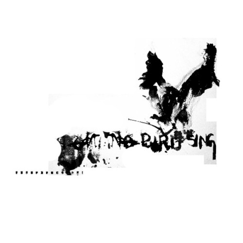 Album Poster | No Bird Sing | Night at Arms