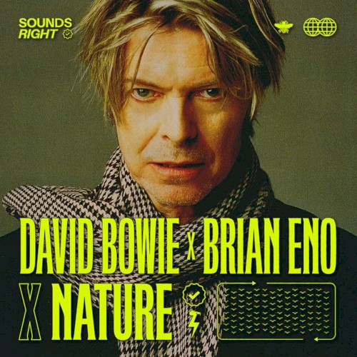 Album Poster | David Bowie and Brian Eno | Get Real Feat. Nature