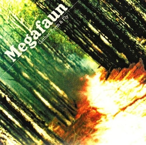 Album Poster | Megafaun | Kaufman's Ballad