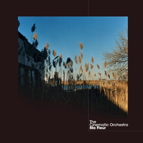 Album Poster | The Cinematic Orchestra | Time And Space