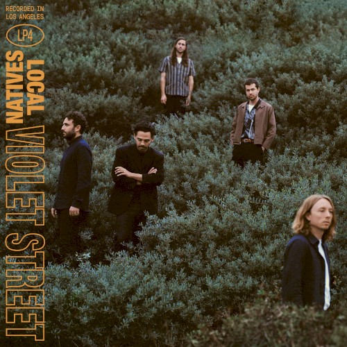 Album Poster | Local Natives | When Am I Gonna Lose You