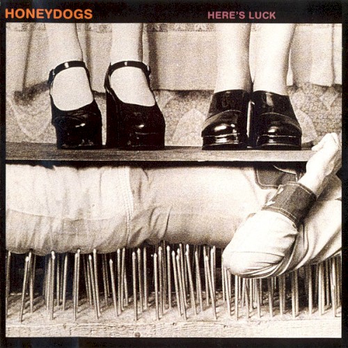 Album Poster | The Honeydogs | Losing Transmissions