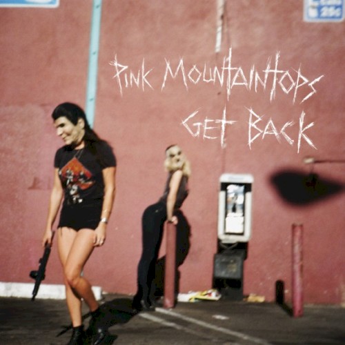 Album Poster | Pink Mountaintops | Shakedown