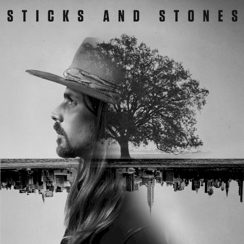 Album Poster | Bethany Larson | Sticks and Stones