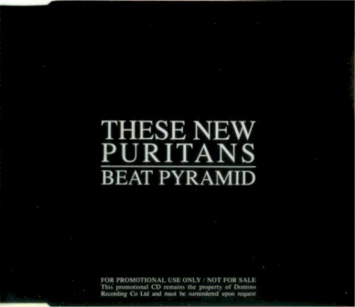 Album Poster | These New Puritans | Elvis
