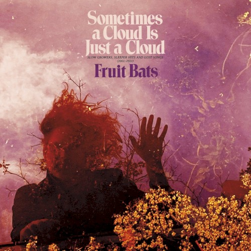 Album Poster | Fruit Bats | Without Any Airs