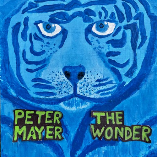 Album Poster | Peter Mayer | The Wonder