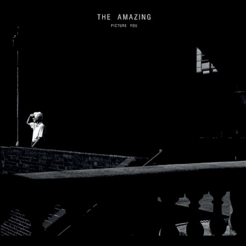 Album Poster | The Amazing | Picture You