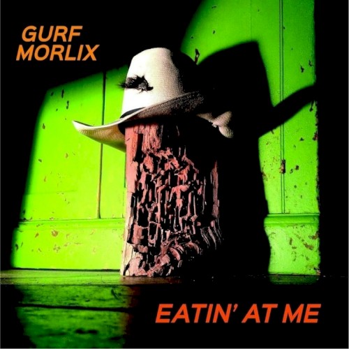Album Poster | Gurf Morlix | 50 Years
