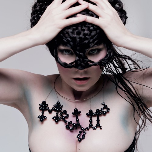 Album Poster | Bjork | Who Is It? (Carry My Joy on the Left, Carry My Pain on the Right)