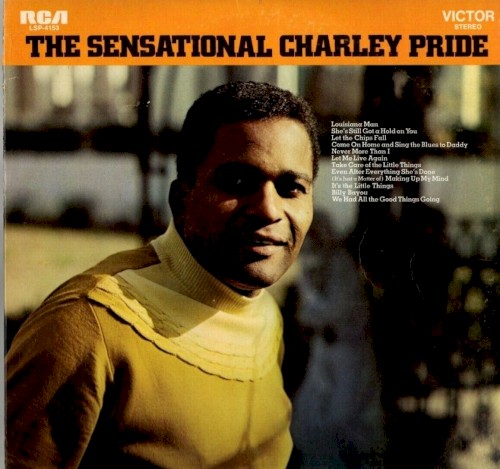 Album Poster | Charley Pride | Take Care of the Little Things