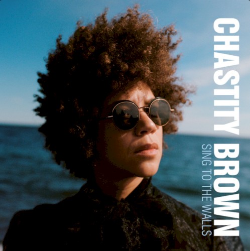 Album Poster | Chastity Brown | Back Seat