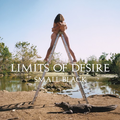 Album Poster | Small Black | Free At Dawn