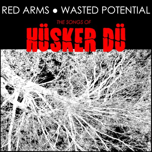 Album Poster | Husker Du | Makes No Sense At All