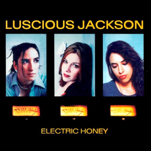 Album Poster | Luscious Jackson | Ladyfingers