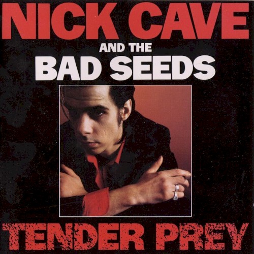 Album Poster | Nick Cave and The Bad Seeds | The Mercy Seat