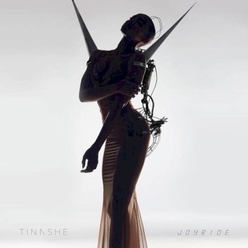Album Poster | Tinashe | Faded Love feat. Future