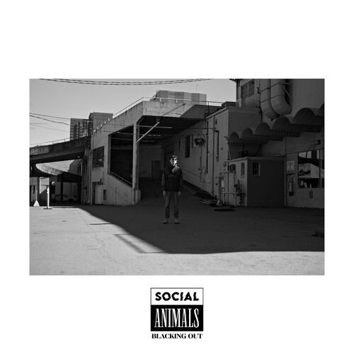 Album Poster | Social Animals | Blacking Out