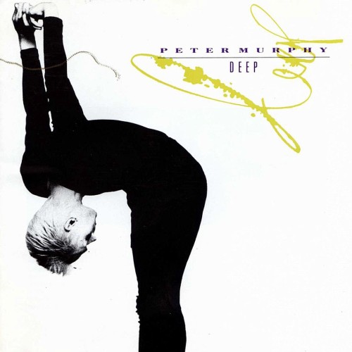 Album Poster | Peter Murphy | Cuts You Up