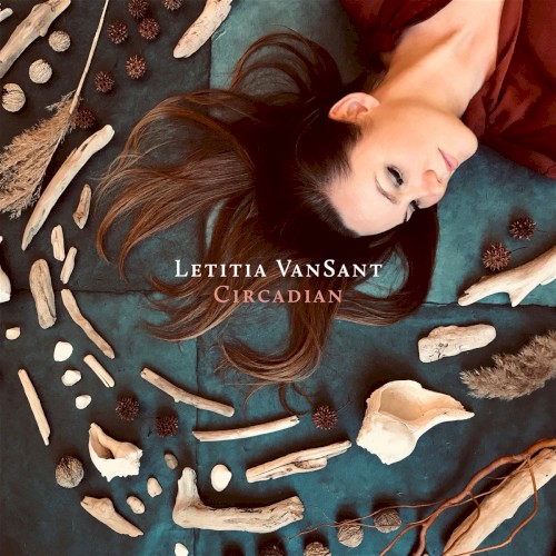 Album Poster | Letitia VanSant | The Hustle