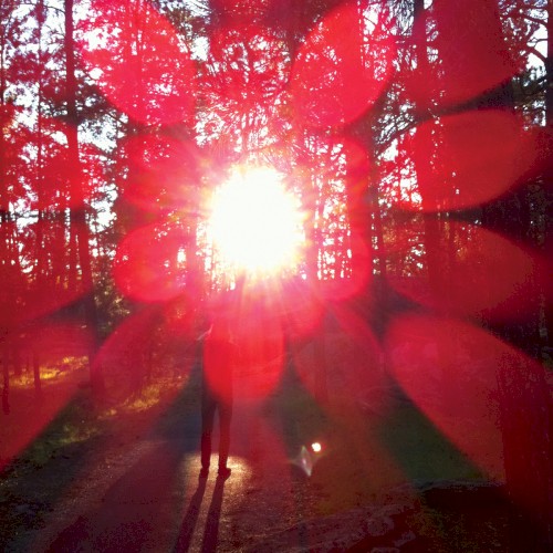 Album Poster | Russian Circles | Mladek