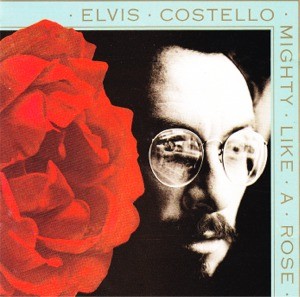 Album Poster | Elvis Costello | All Grown Up