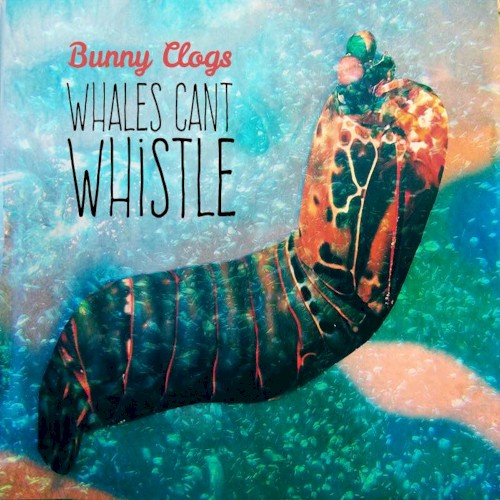 Album Poster | Bunny Clogs | Whales Can't Whistle