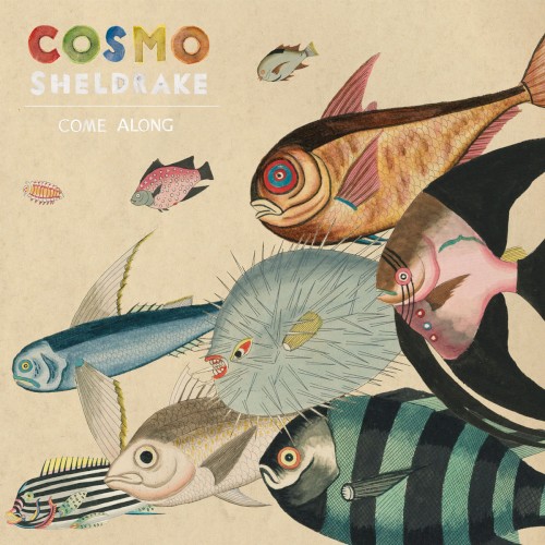 Album Poster | Cosmo Sheldrake | Come Along