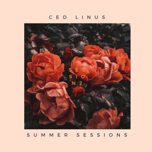 Album Poster | Ced Linus | Lights